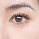 [Coforyou] Moody Zootopia 橡果棕 1 Day, 10Pcs