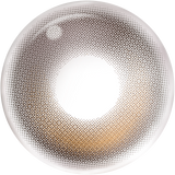 [Coforyou] Moody Zootopia 橡果棕 1 Day, 10Pcs