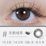 Moody Velveteen Black 1 Day, 10pcs ;14.2mm