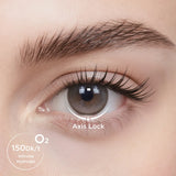 [Moody Weighted] Gris Meyer 14.5mm (1 Day)