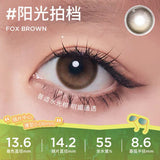 [Coforyou] Moody Zootopia 阳光拍档 1 Day, 10Pcs