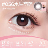 [Coforyou] Moody Zootopia 水生芍药 1 Month