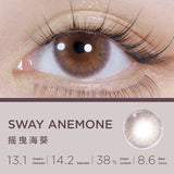 CONS x Moody Sway Anemone 1 Month ; 14.2mm