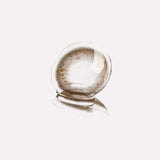 Moody Chestnut Baked Cheese 1 Month; 14.5mm