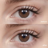MOODYBLUE Daily Lens (2 Pcs)
