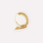 CONS x Moody Oatmeal Cocoa 1 Month; 14.2mm