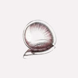 Moody Springtime 1 Day, 10pcs;14.2mm